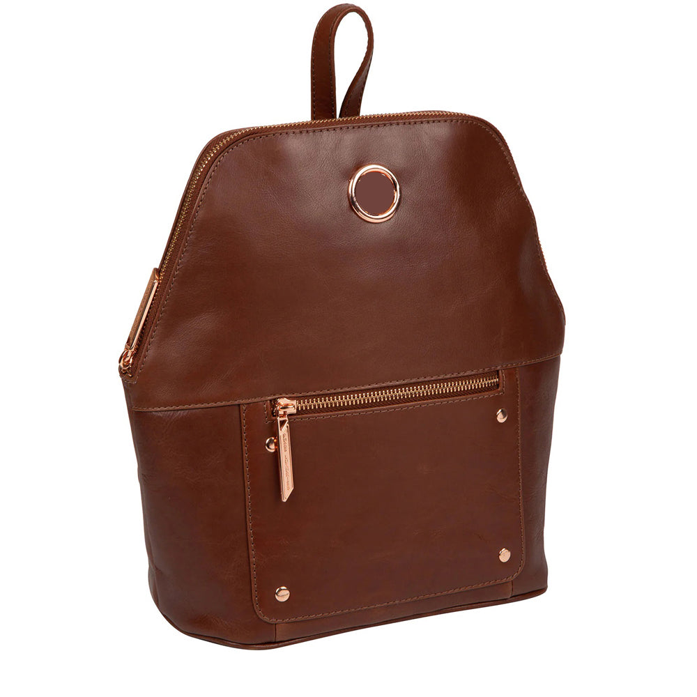 Brown Leather Backpack