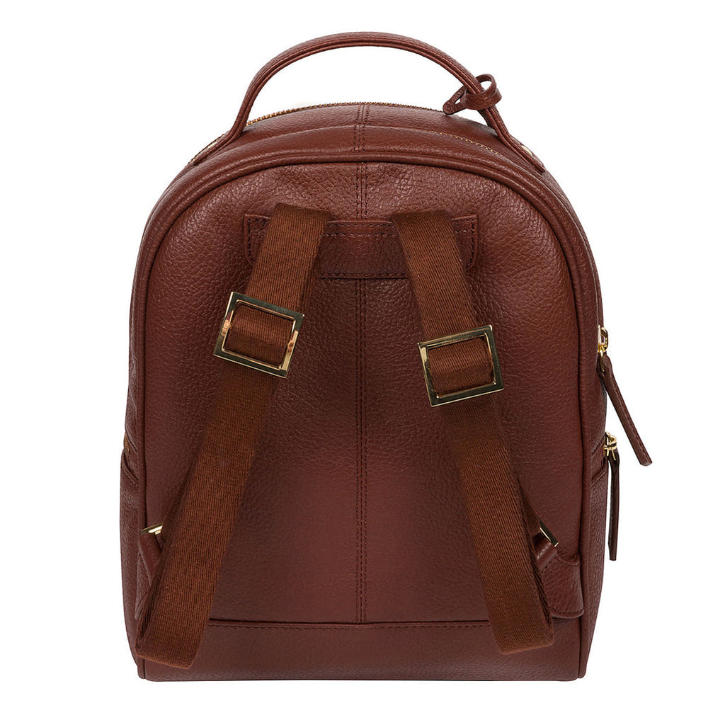 Small Brown Leather Backpack