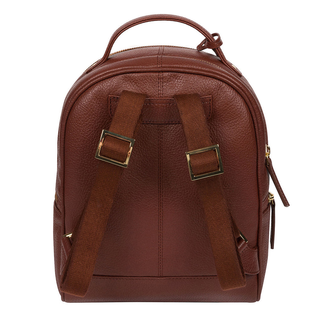 Small Brown Leather Backpack